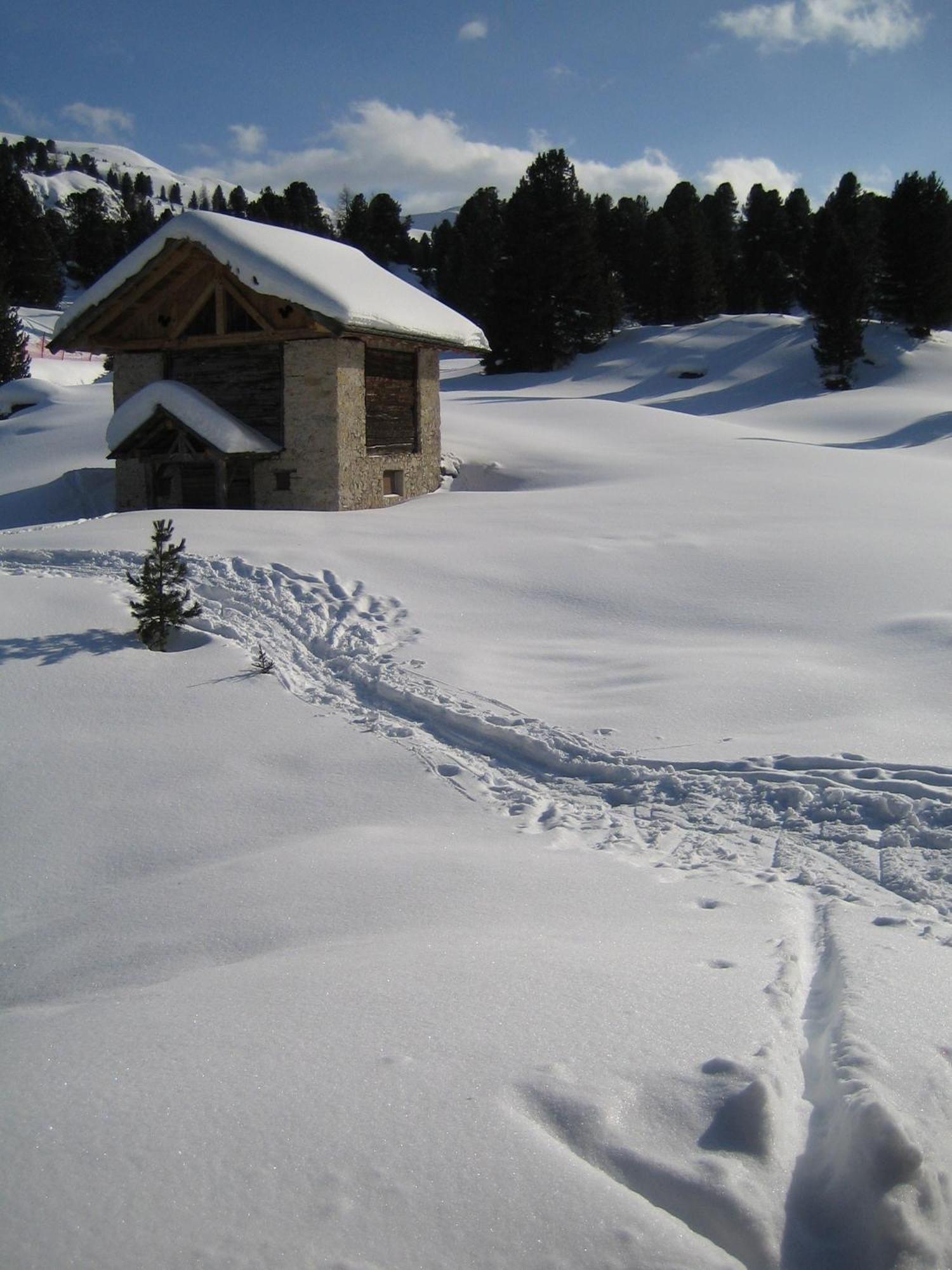 Hotel Chalet Elisabeth Dolomites Alpin & Charme Selva di Val Gardena Exterior foto