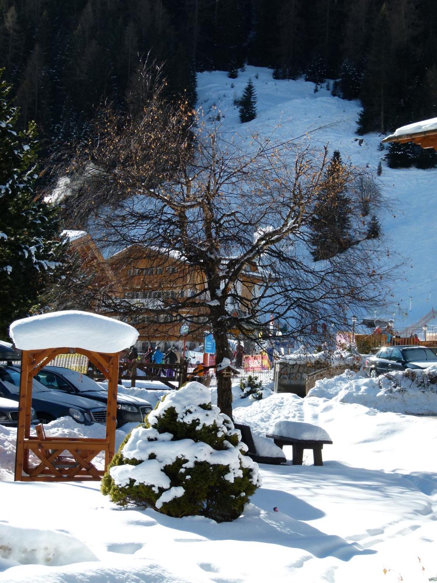 Hotel Chalet Elisabeth Dolomites Alpin & Charme Selva di Val Gardena Exterior foto